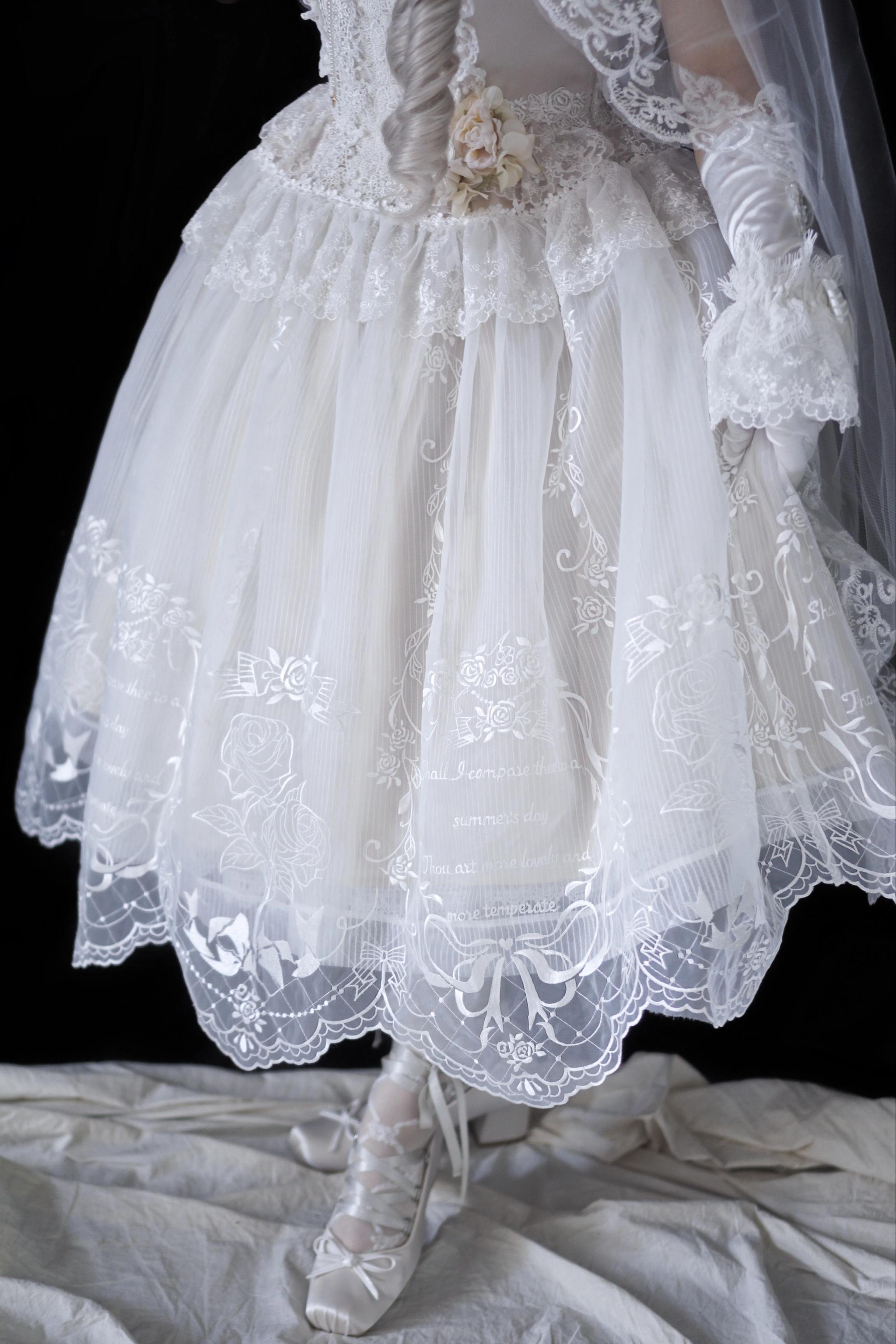 AuroraBorealis - Moonshadow - Gorgeous Wedding Lolita Dress Set Embroidered JSK SK and Bodice 41640:709234