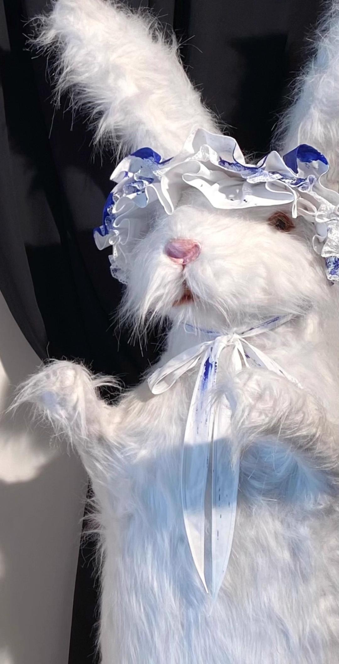 Flower Messenger - Dream & Slumber - Gothic Lolita Blood Print Dress, Detachable Sleeves (M) / 2XL L M S XL) 44356:805269