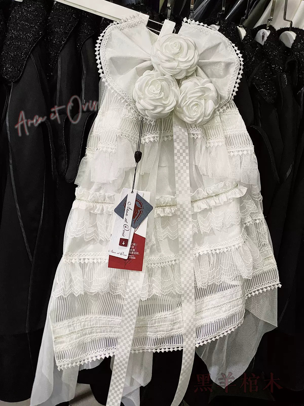 Arca et Ovis - Gothic Lolita Trailing Prince Series Lace Single-Sided Trailing Multicolors full white