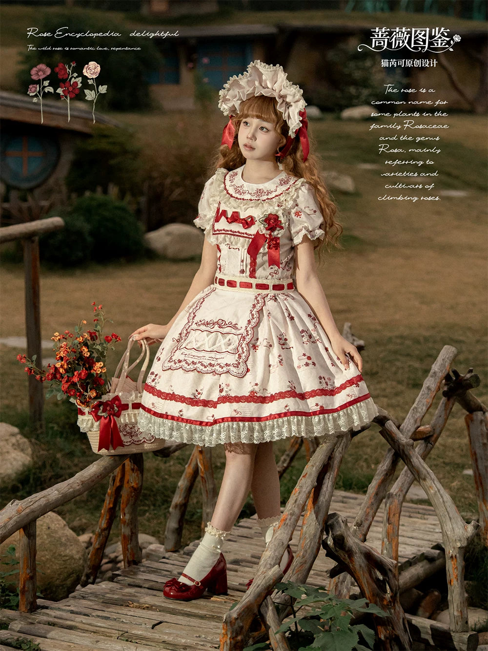 Rose Catalogue - Printed Sweet Lolita OP Dress, Embroidered Apron