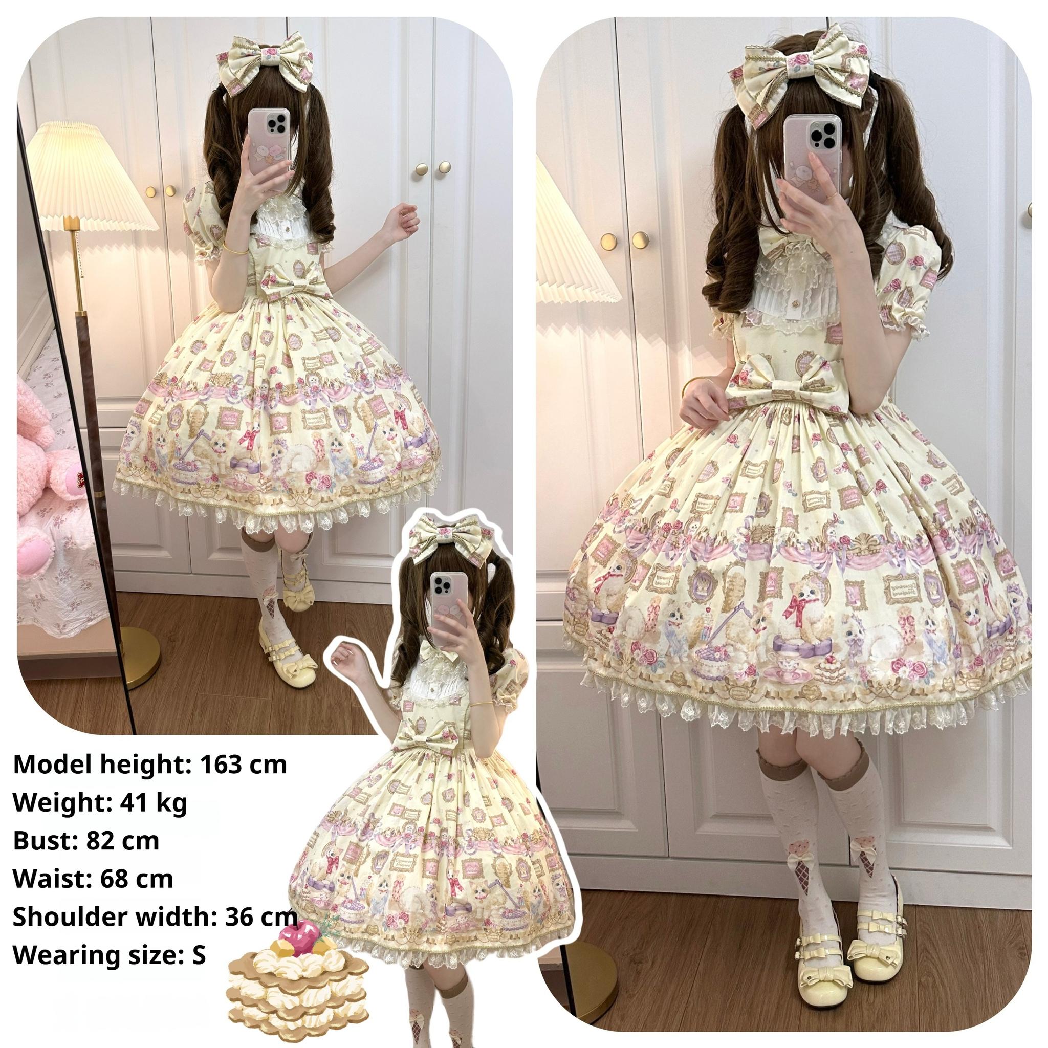 Discovering Treasures - Picture Frame Cat - Kawaii Lolita Dress Suit Cat Print JSK and OP 42605:746464