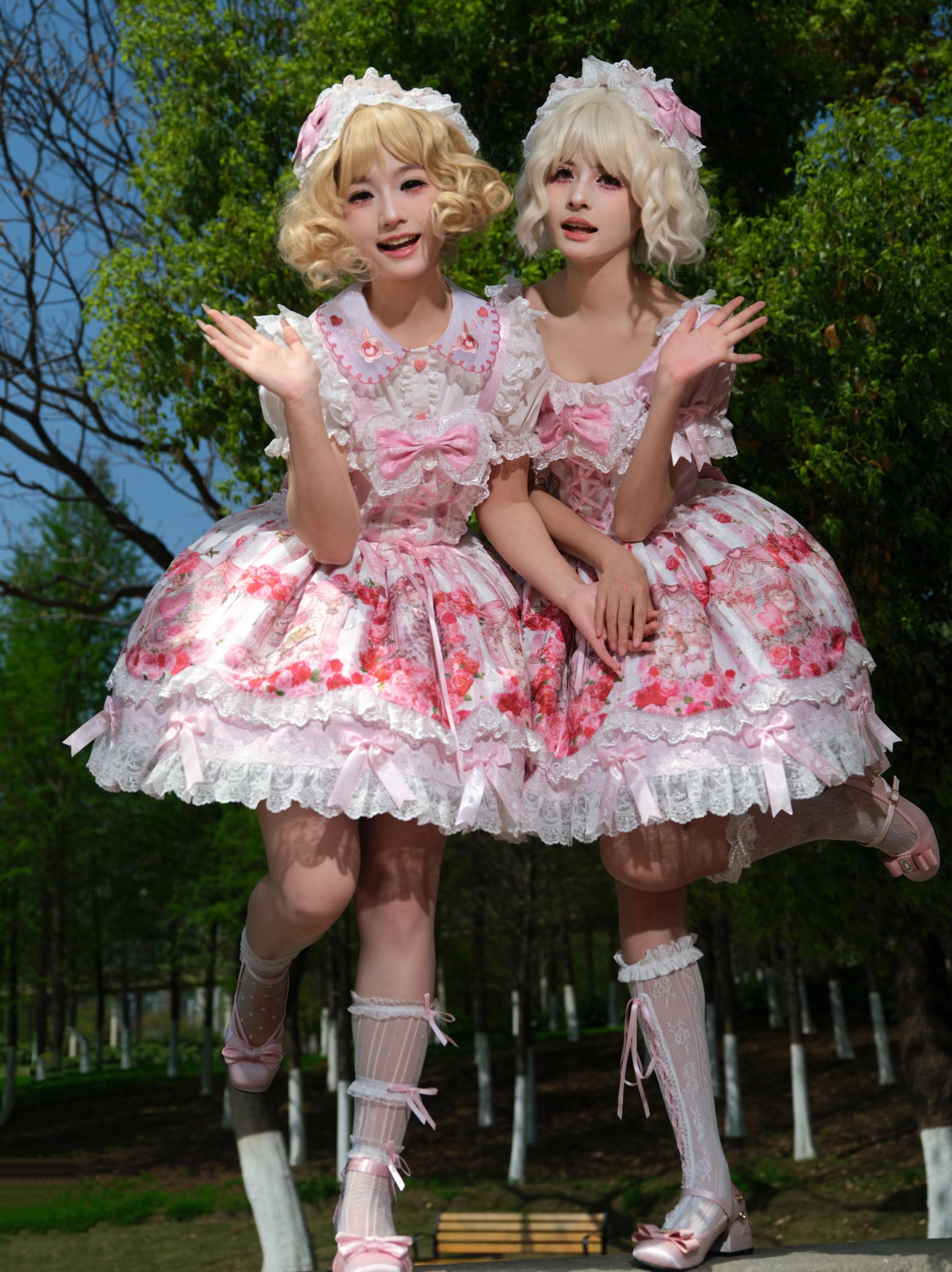 Rose Dream Isle - Sweet Lolita Rose Wall Print Dress, Embroidery & Bows