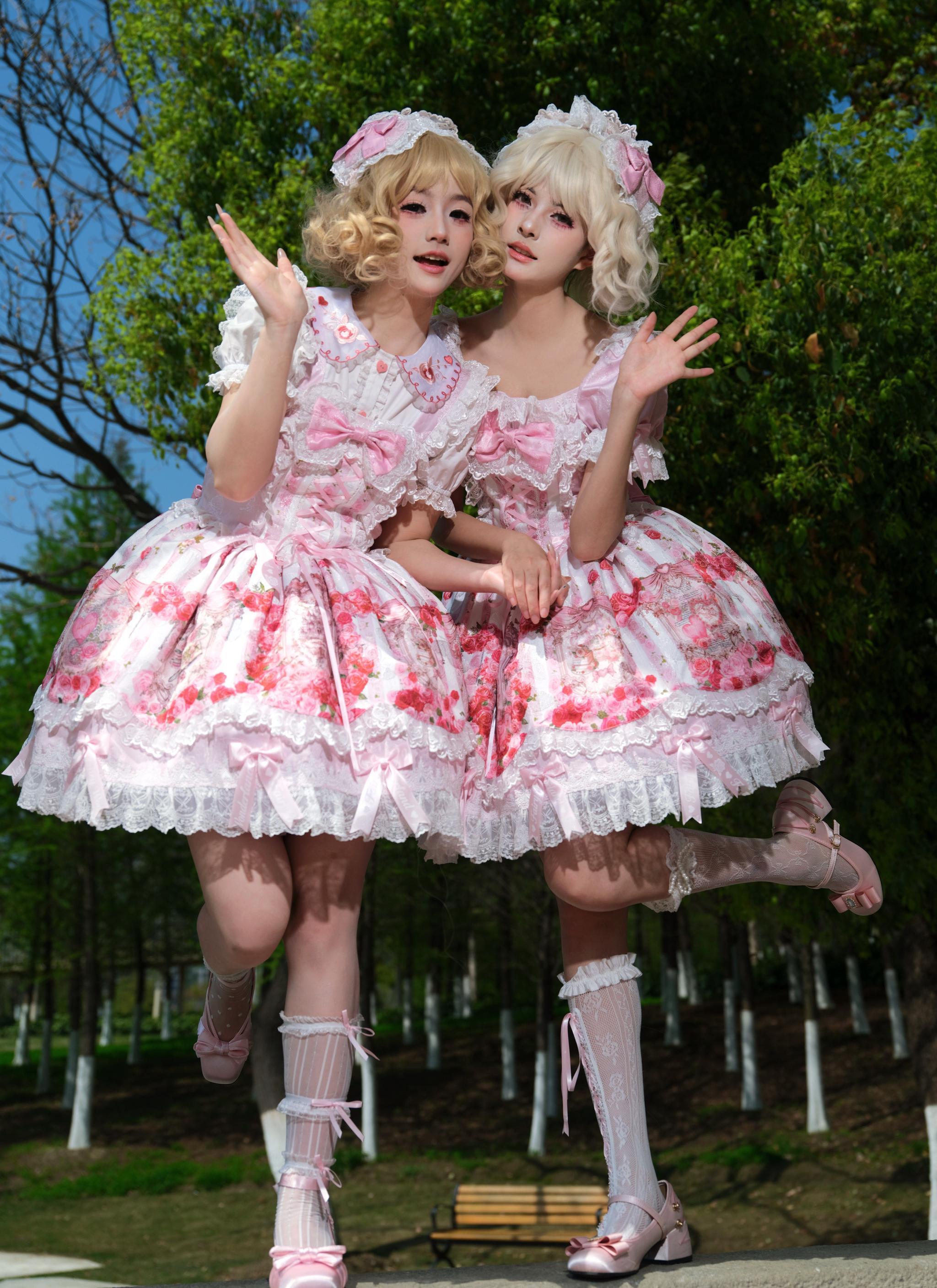 Rose Dream Isle - Sweet Lolita Rose Wall Print Dress, Embroidery & Bows