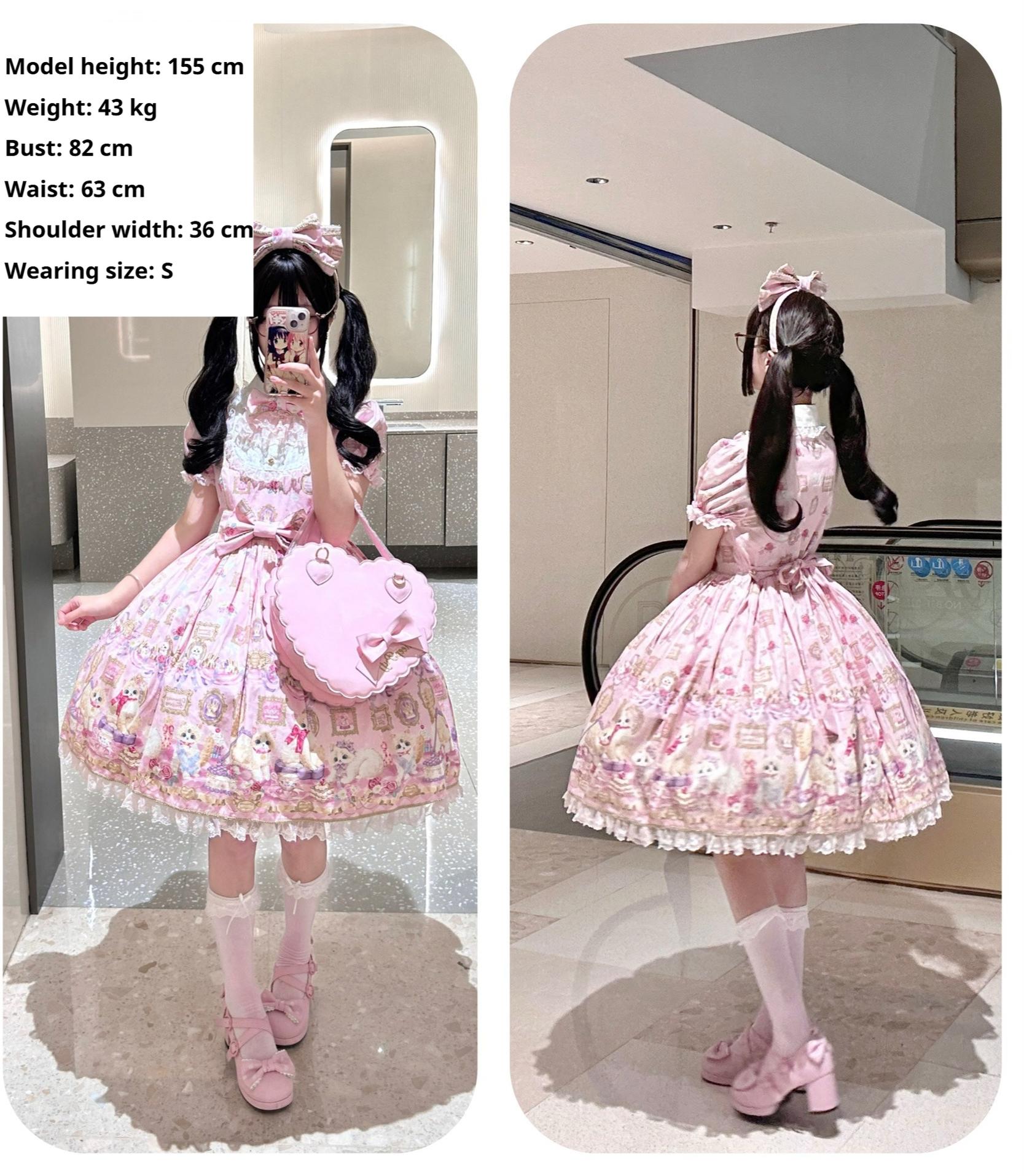 Discovering Treasures - Picture Frame Cat - Kawaii Lolita Dress Suit Cat Print JSK and OP 42605:746456
