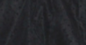 Sentaro Napoleon Violence 42cm Petticoat One Size 42cm black normal daily style