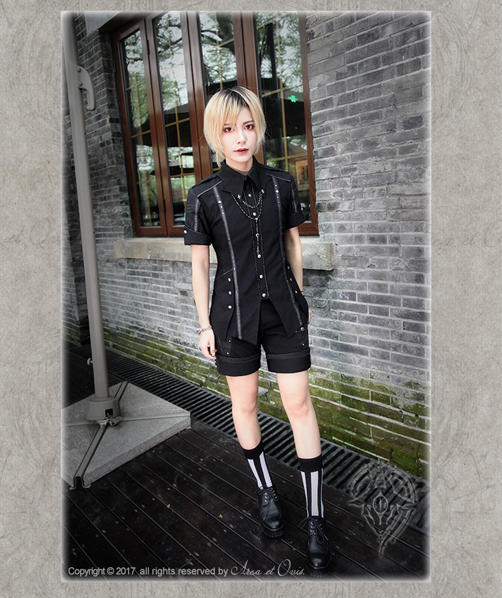 Arca et Ovis~Bat Wings~Gothic Lolita Blouse Ouji Fashion Lolita Shirt Long Sleeve   