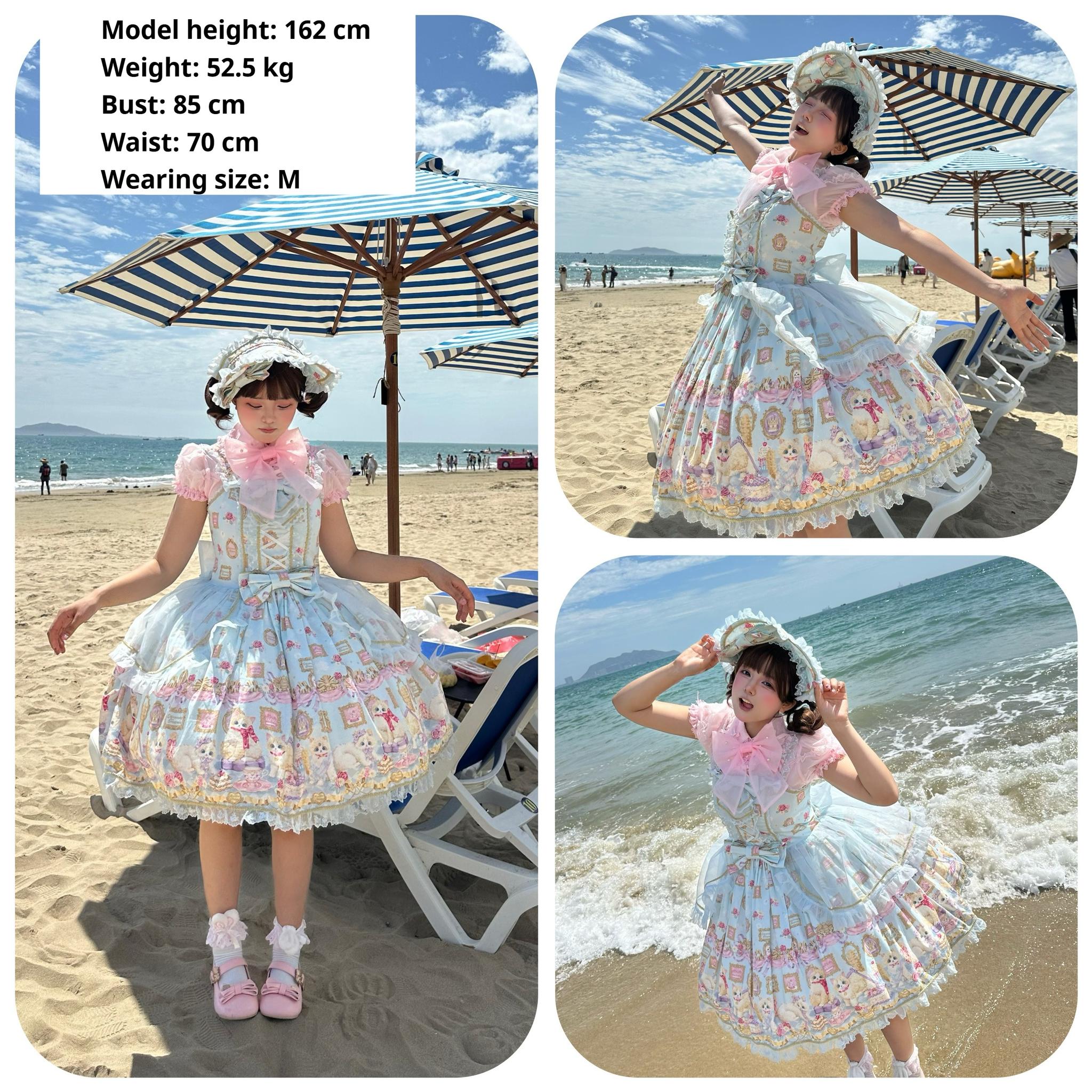 Discovering Treasures - Picture Frame Cat - Kawaii Lolita Dress Suit Cat Print JSK and OP 42605:746461