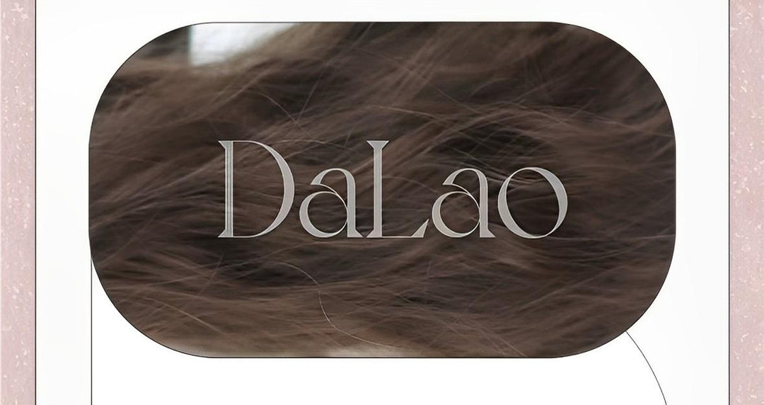 Dalao Home~Fallen~Daily Lolita Wigs Cold brown Long Hair   