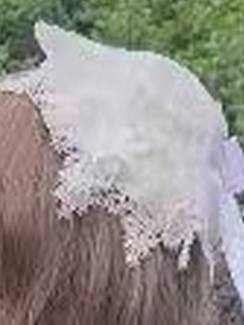 Realm of Sea Moon - Sweet Lolita Jacquard JSK, Boned Waist & Petal-shaped Hem White - Small Top Hat Only S