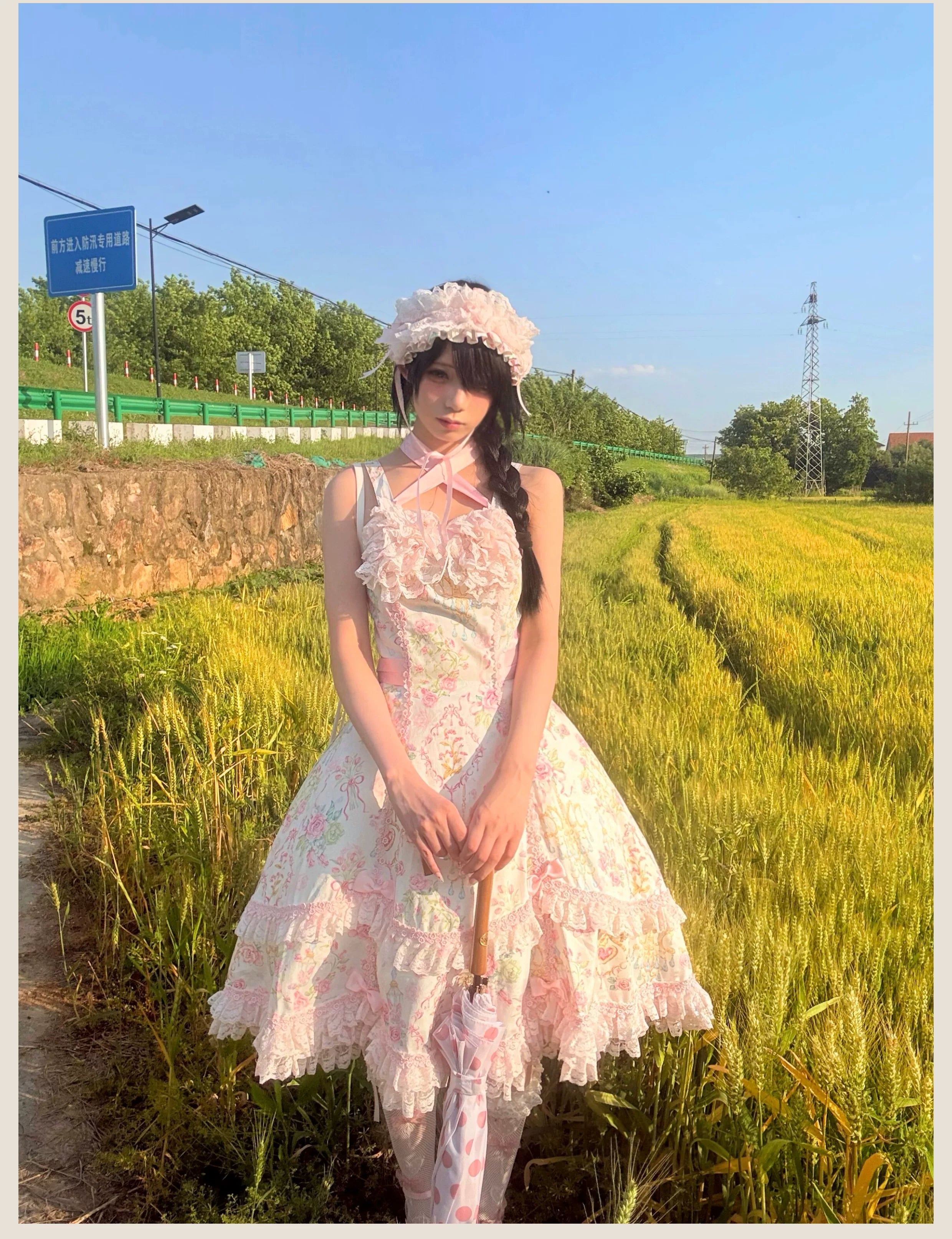 Spring 2025 - Floral Old School Lolita JSK Dress, Lace Trims