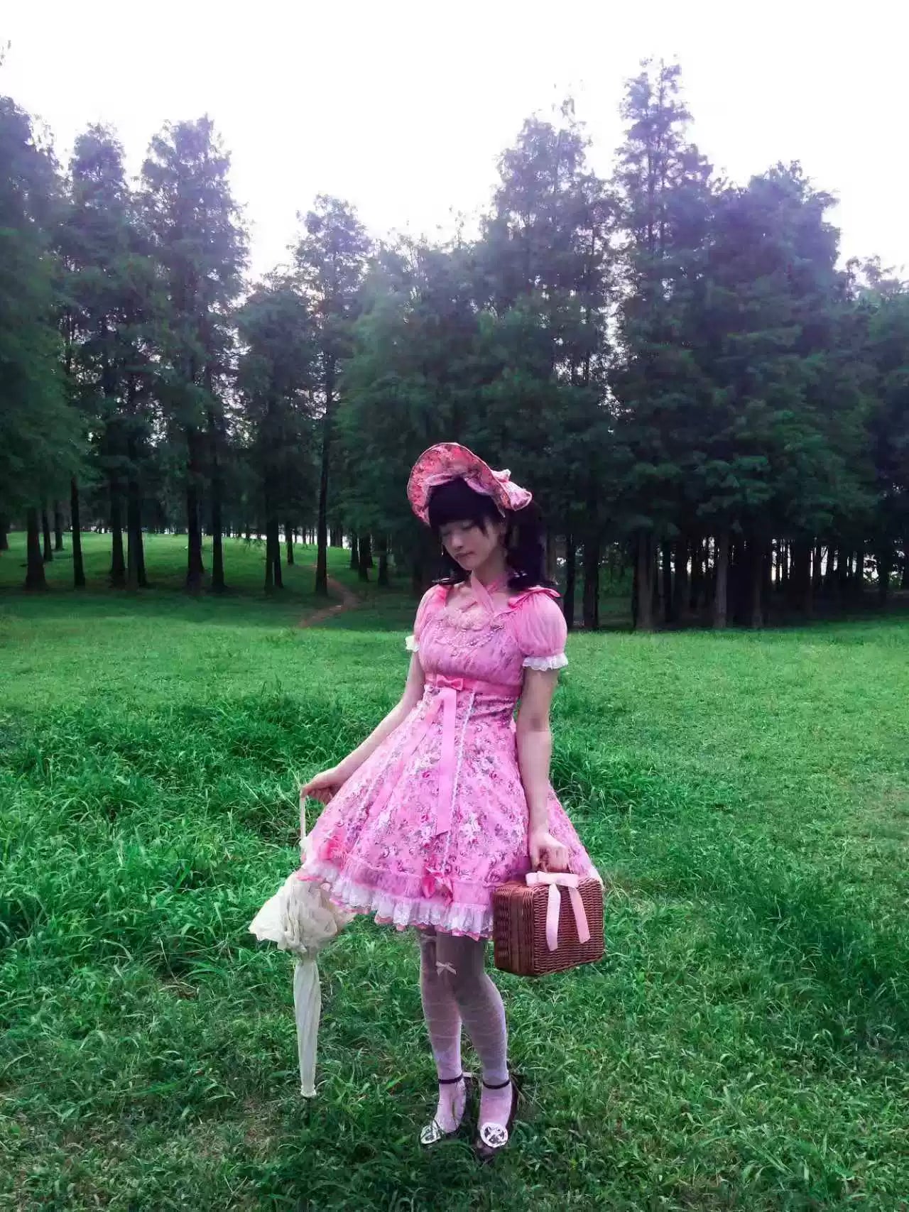 Crimson Poem - Old School Lolita Six-Panel Cut Floral Printed OP Dress 45550:852954