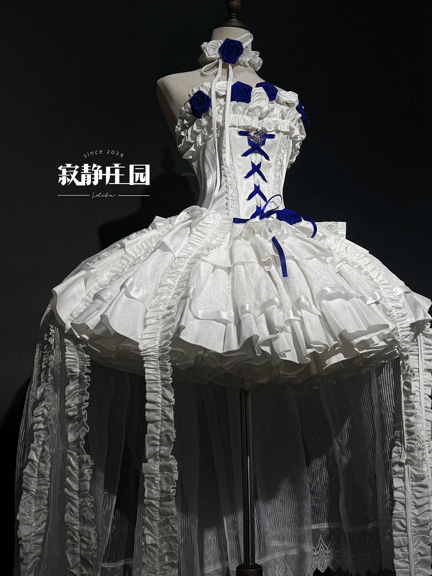 The Forbidden Garden - Gothic Lolita JSK Dress, Detachable Rose Accessories