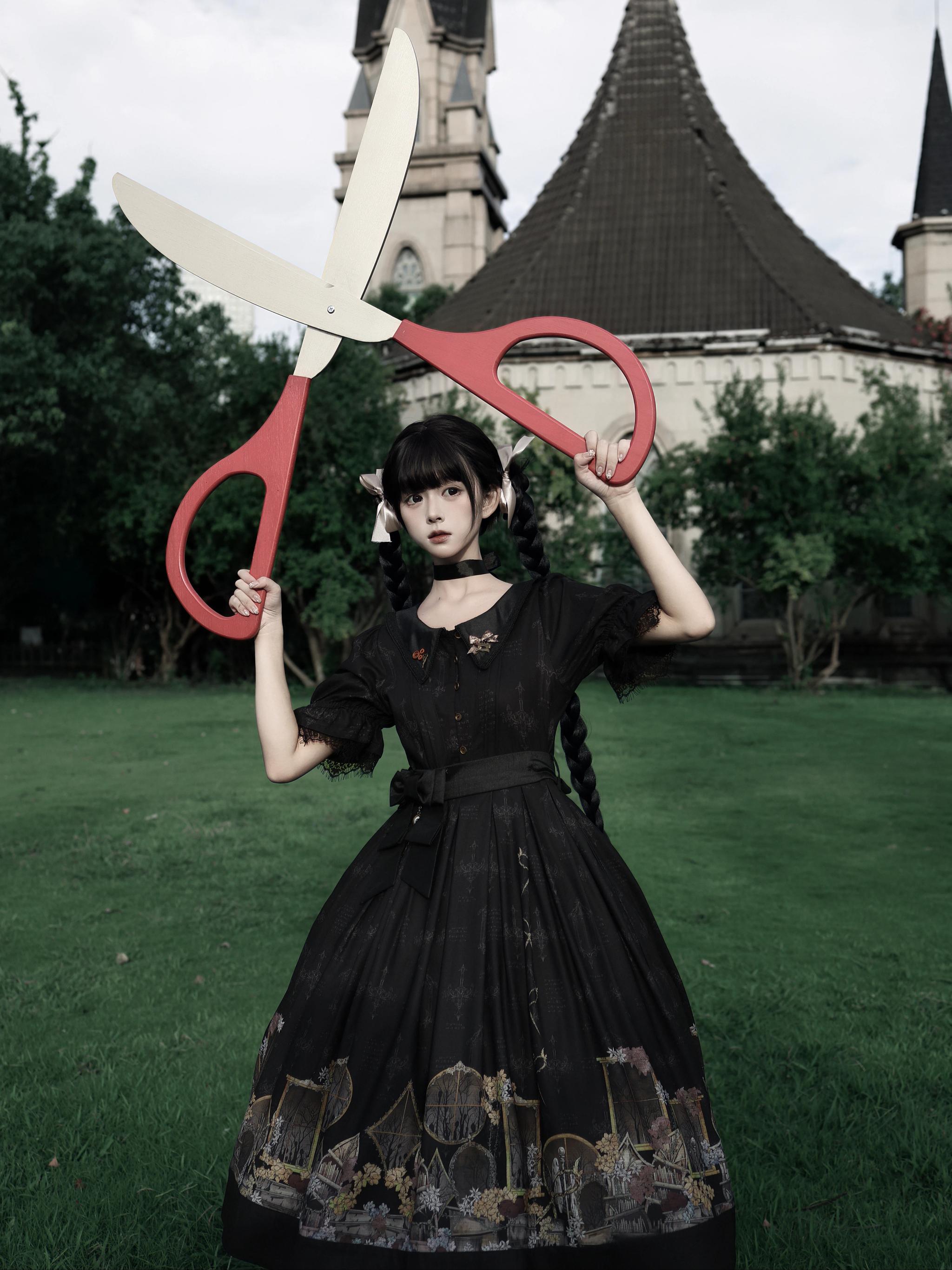 Window of Shadows - Plus Size Gothic Lolita OP & JSK, Window and Floral Print 45889:866723