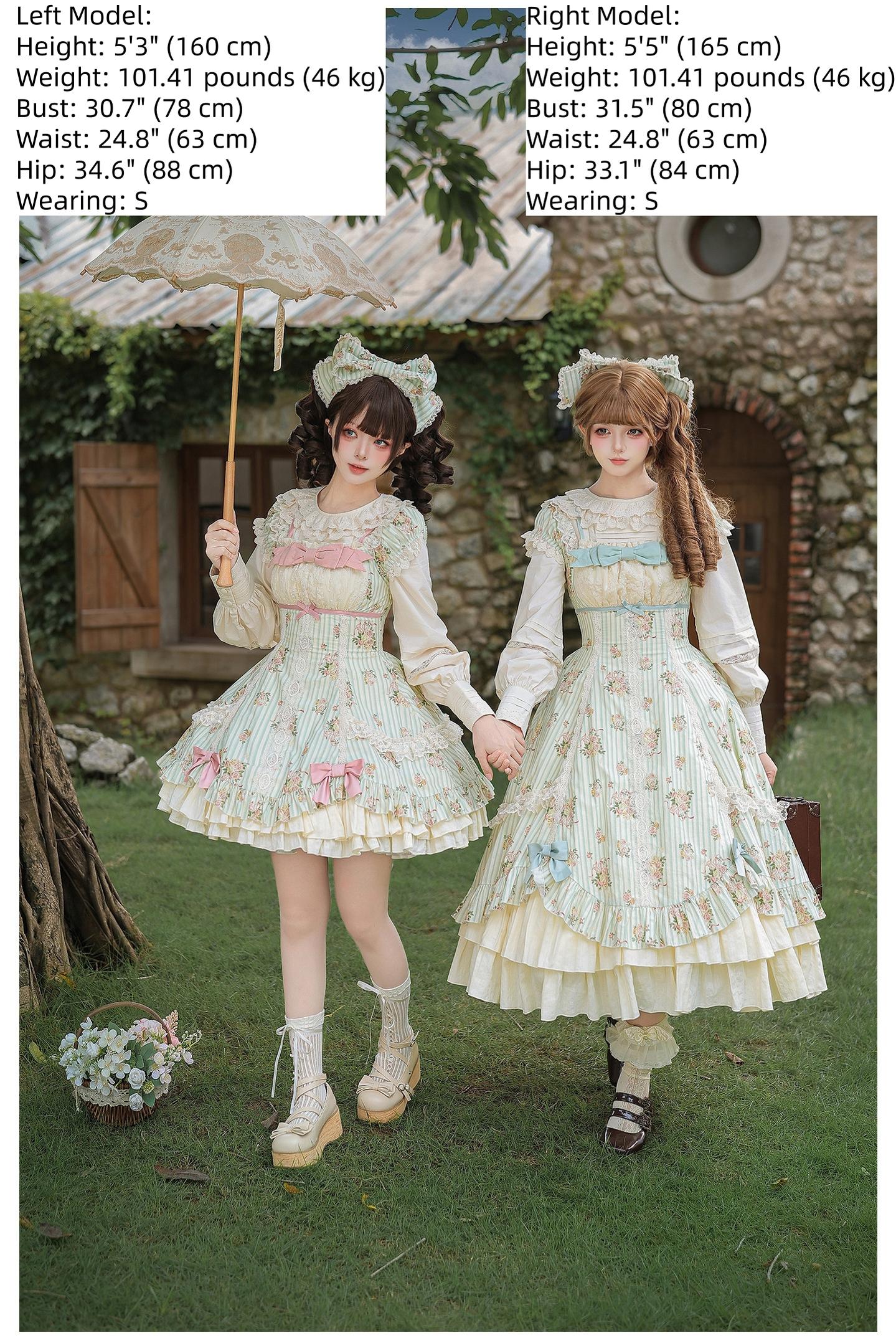 Meeting Austen - Cotton Classic Lolita Rose Printed OP Dress 45736:860048