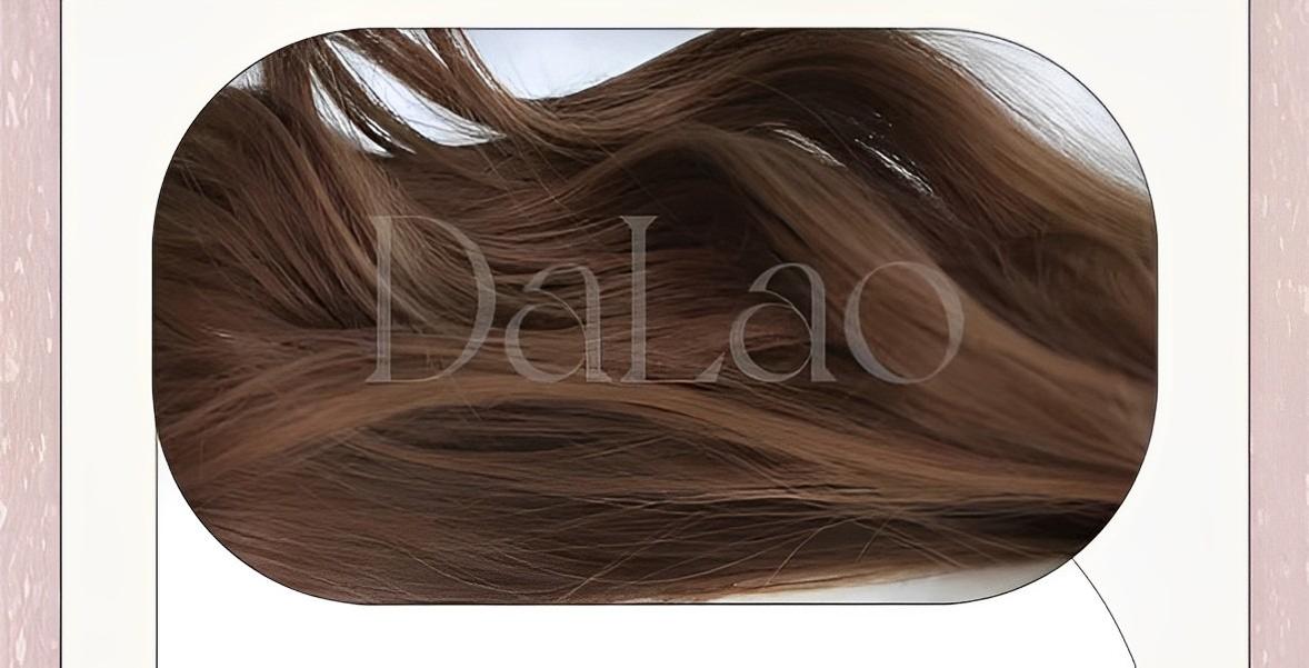 Dalao Home~Shan Li~Daily Lolita Wigs Honey Brown Long Curly Hair   