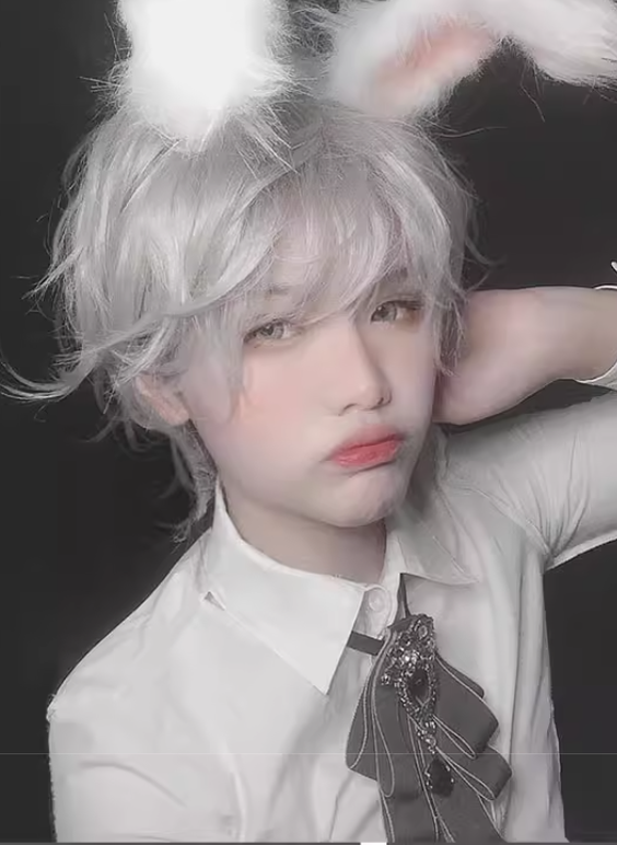 PippiPalace~Mr. Rabbit~Gray Slightly Short Curly Wig   