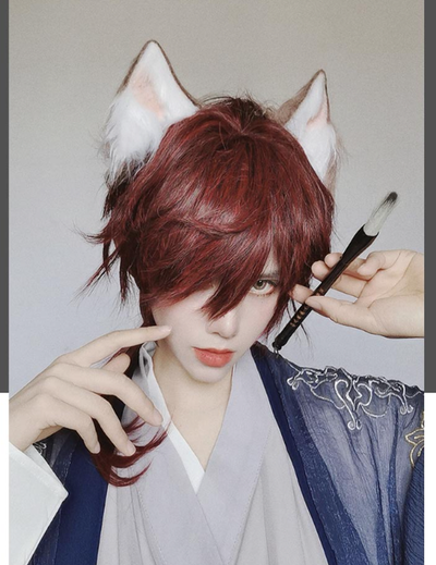 PippiPalace~Wolf Boy~Ouji Lolita Prince Red Trailing Wig   