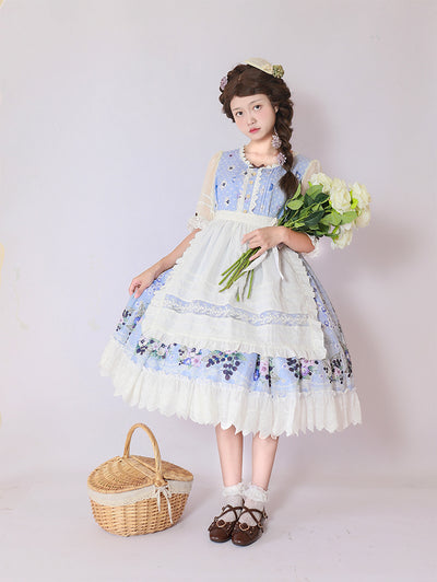 NanShengGe Lolita~Forest Bookmarks~Country Style Lolita JSK Dress S blue op 