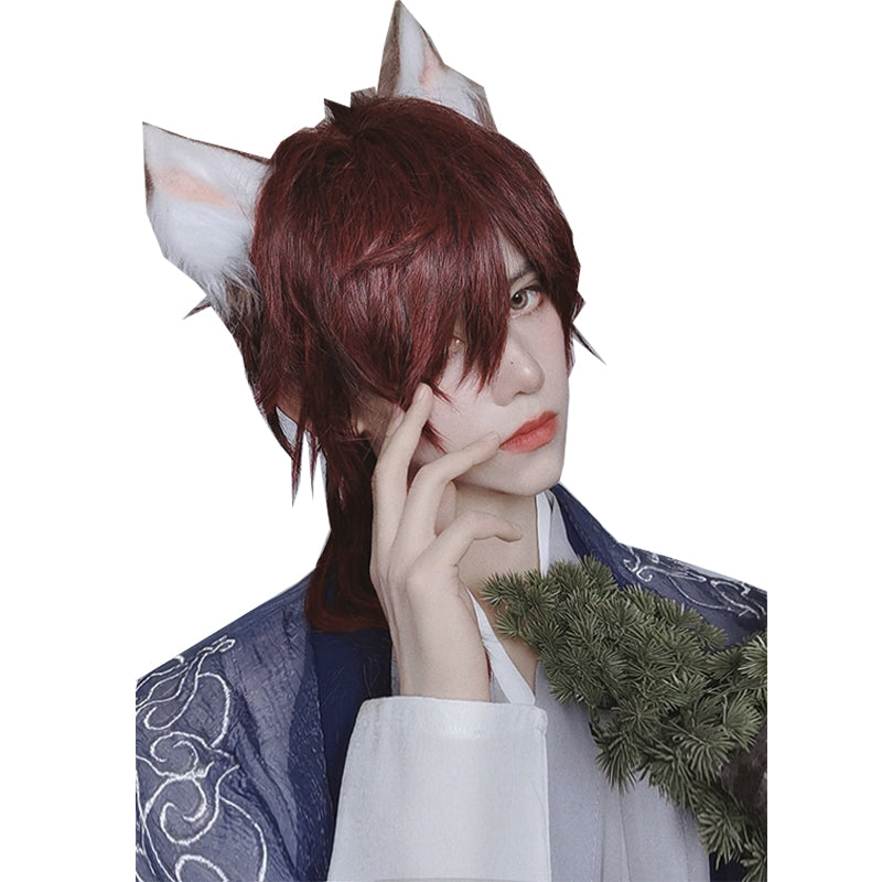 PippiPalace~Wolf Boy~Ouji Lolita Prince Red Trailing Wig   