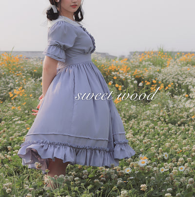 (Buyforme) Sweet Wood~ CLA French Vintage Plus Size Lolita OP Dress 2XL grey blue 