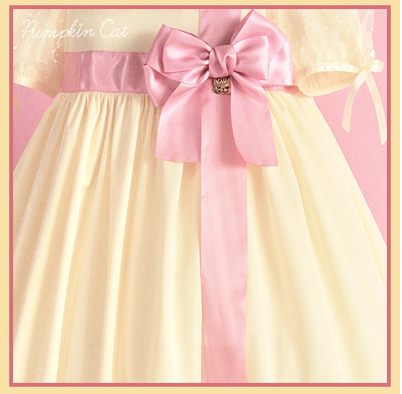 Pumpkin Cat - Candy Boxes - Kawaii Lolita Accessories pink bow