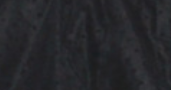 Sentaro Napoleon Violence 42cm Petticoat free size 42cm black normal daily style 